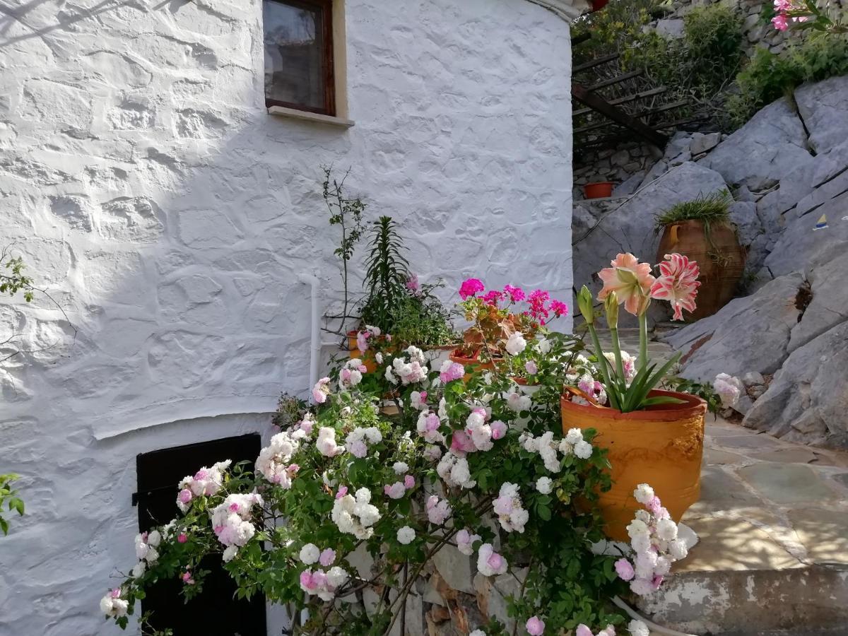 Arbeli House Villa Mandraki  Exterior photo
